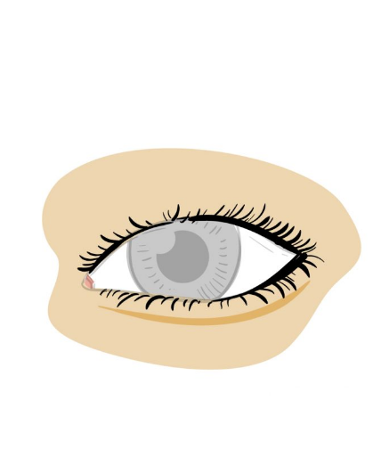 Eyelashes Drawing